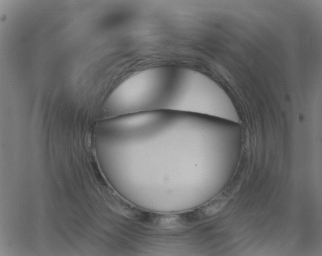 X0000062910173200601181228