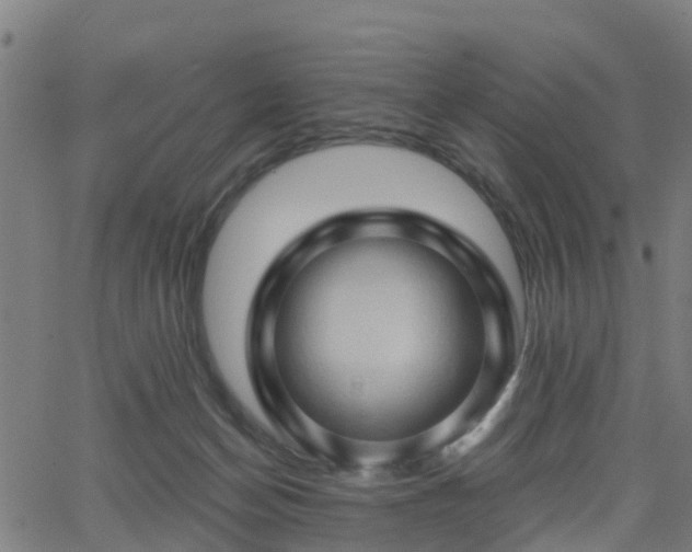 X0000062910174200601181228