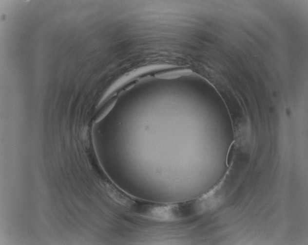 X0000062910178200601181228