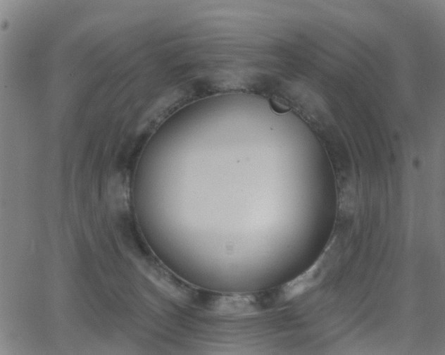 X0000062910179200601181228