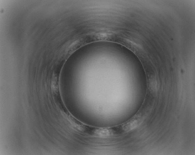 X0000062910181200601181228