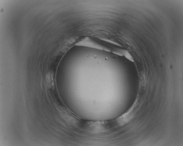 X0000062910182200601181228