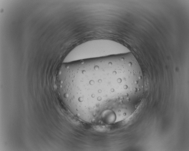 X0000062910187200601181228