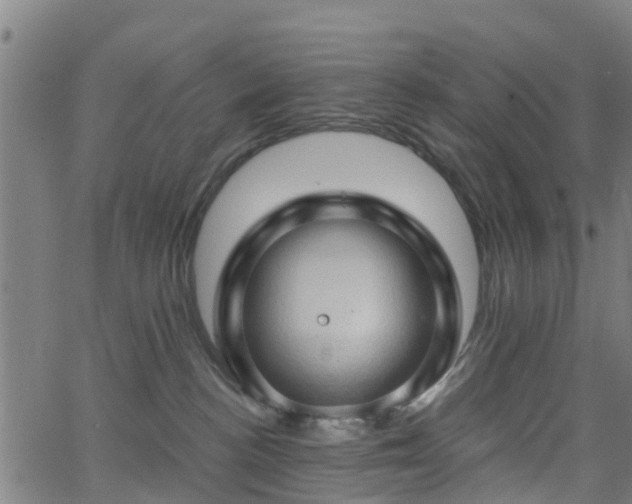 X0000062910188200601181228