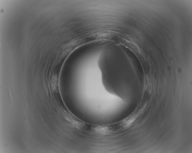 X0000062910189200601181228