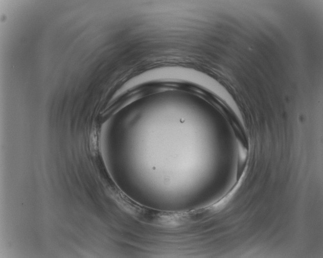 X0000062910190200601181229