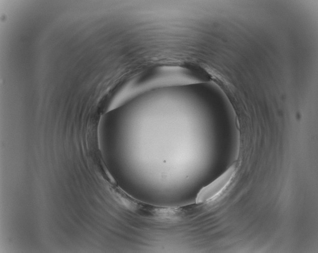 X0000062910192200601181229