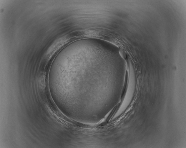 X0000062910194200601181228