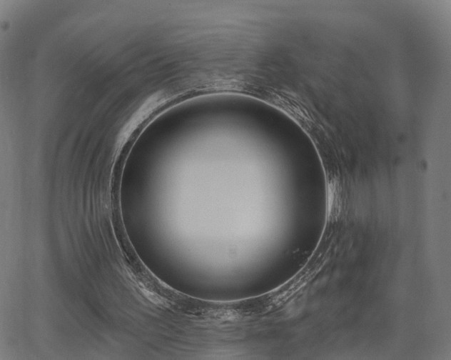 X0000062910195200601181228