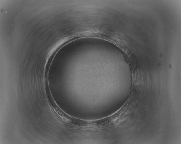 X0000062910196200601181228