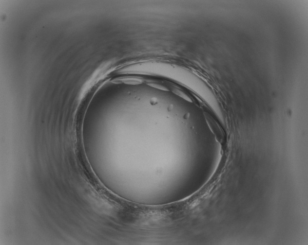 X0000062910198200601181228