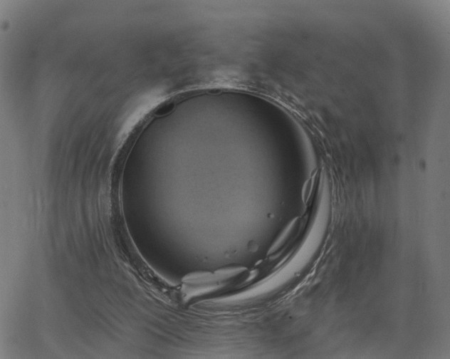 X0000062910200200601181228