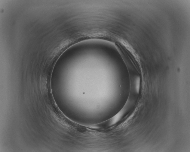 X0000062910201200601181228