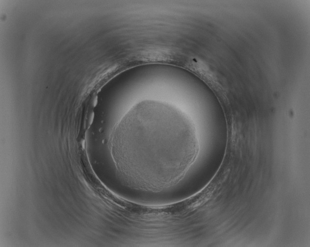 X0000062910202200601181228