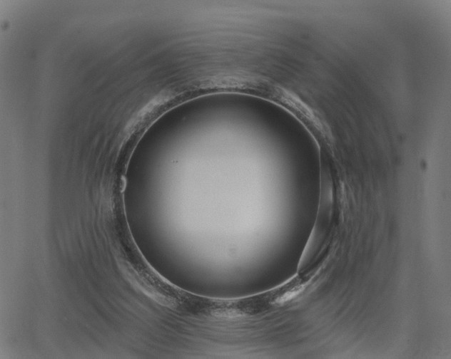 X0000062910203200601181228