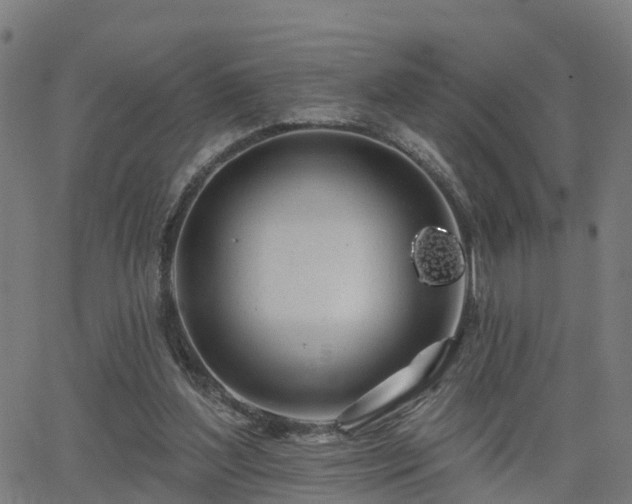 X0000062910204200601181228