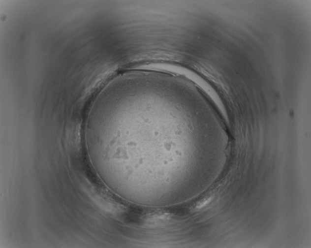 X0000062910206200601181228