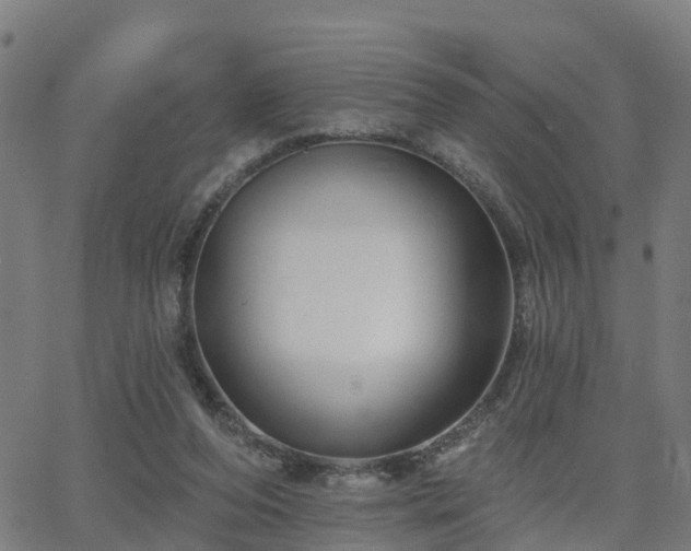 X0000062910208200601181228