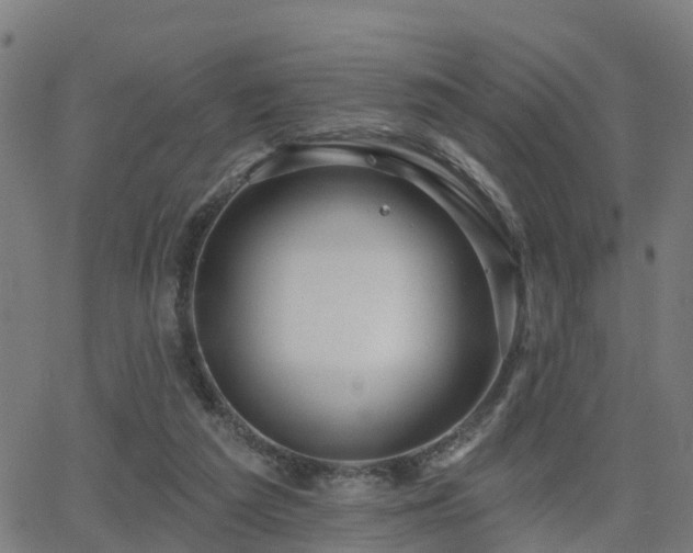 X0000062910209200601181228