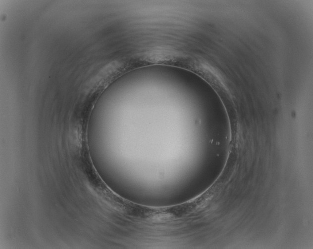 X0000062910210200601181227