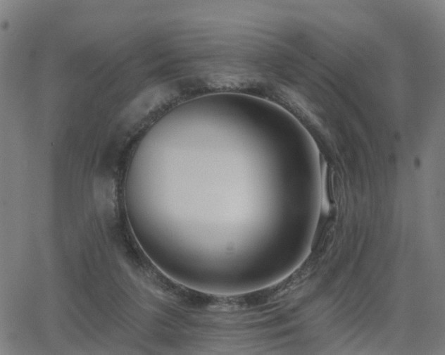 X0000062910211200601181227