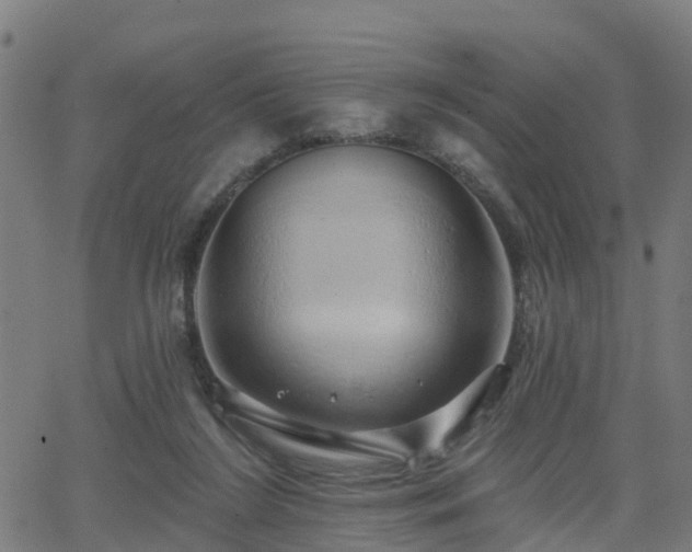 X0000062910212200601181227