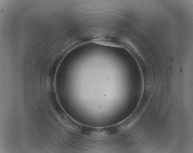 X0000062910213200601181227