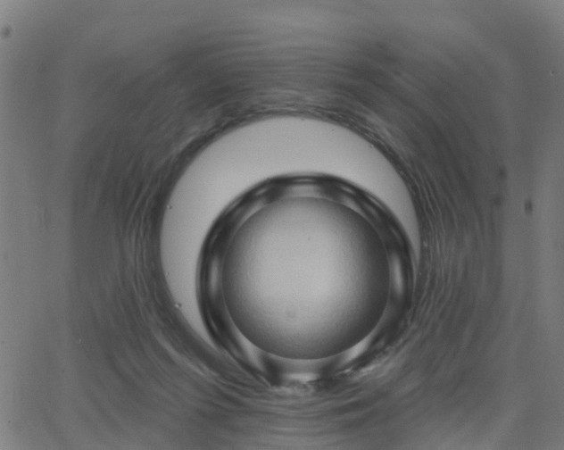 X0000062910215200601181227