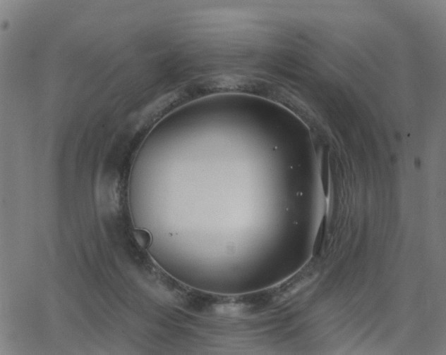 X0000062910216200601181227