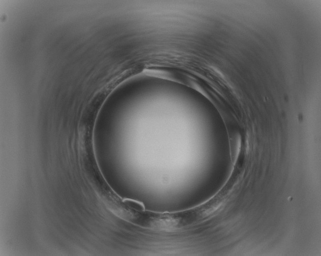 X0000062910217200601181227