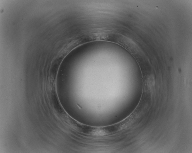 X0000062910218200601181227