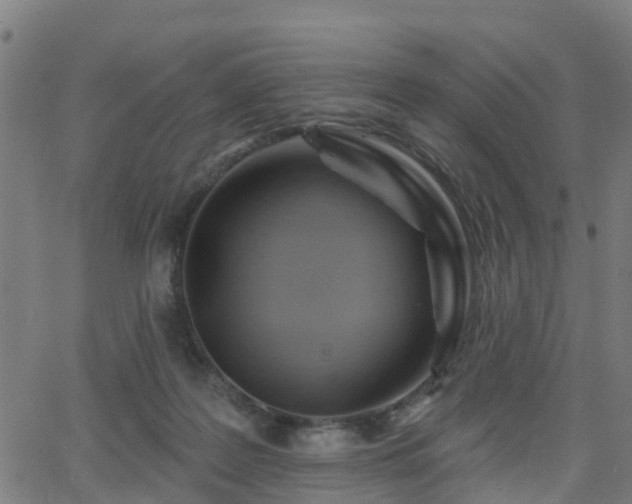 X0000062910219200601181227