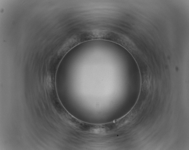 X0000062910220200601181227