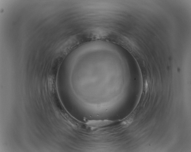 X0000062910222200601181227