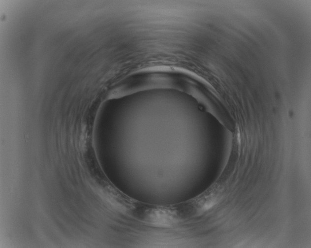 X0000062910223200601181227