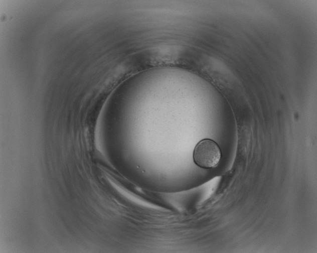 X0000062910224200601181227