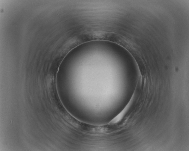 X0000062910225200601181227