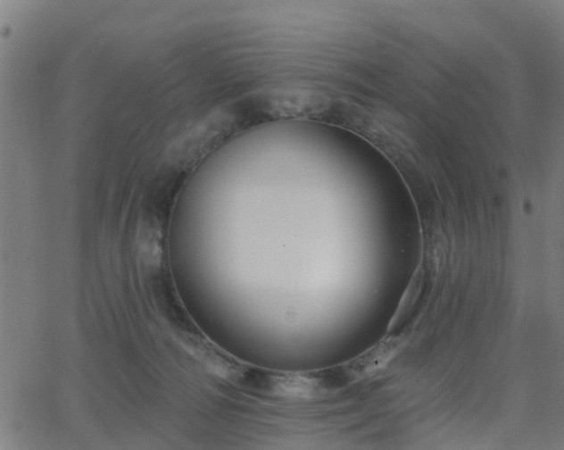 X0000062910226200601181227