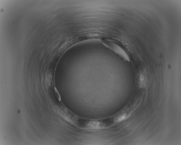 X0000062910227200601181227