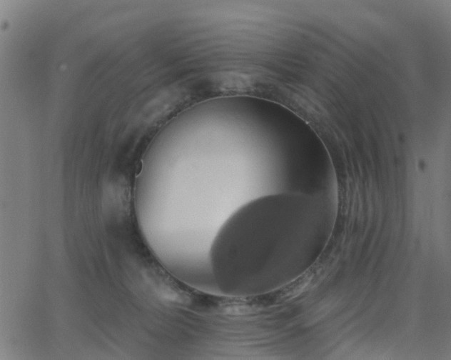 X0000062910228200601181227