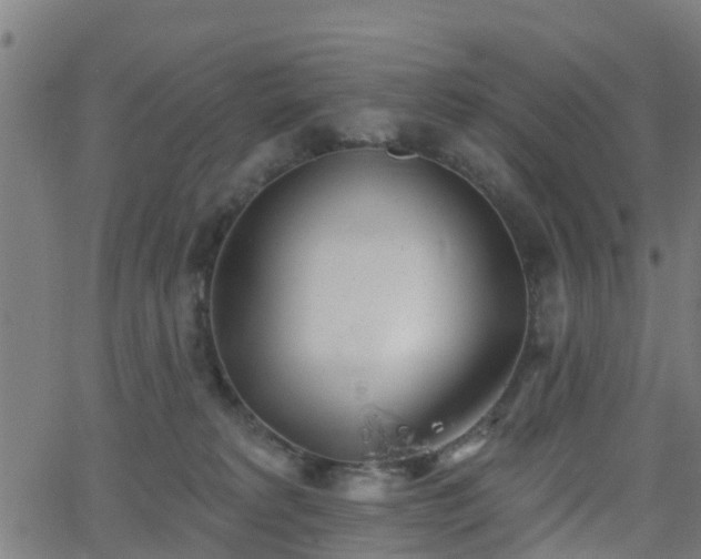 X0000062910229200601181227