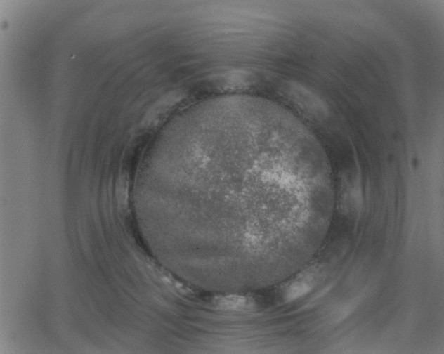 X0000062910230200601181227