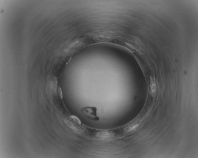 X0000062910231200601181227