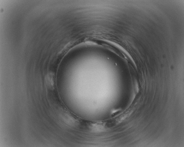 X0000062910232200601181227