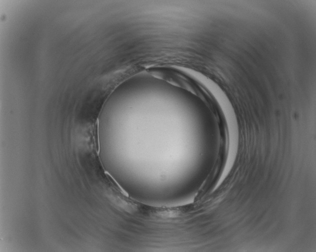 X0000062910237200601181227