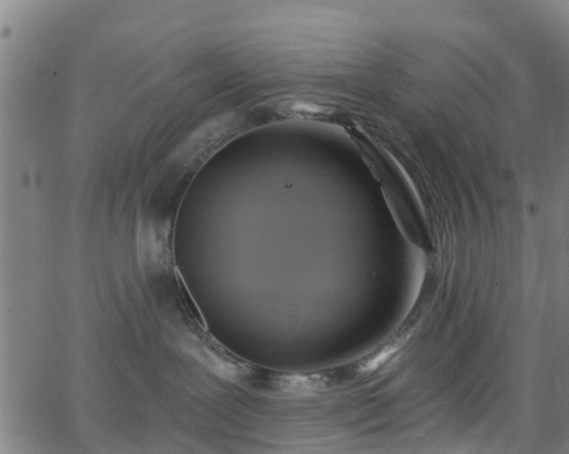 X0000062910239200601181227