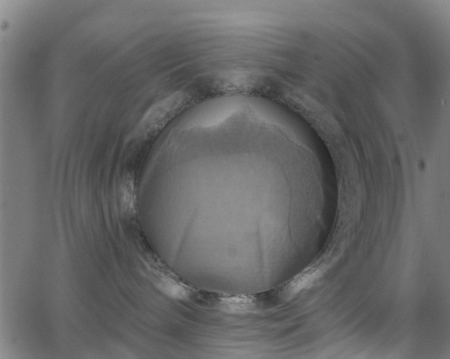 X0000062910240200601181227