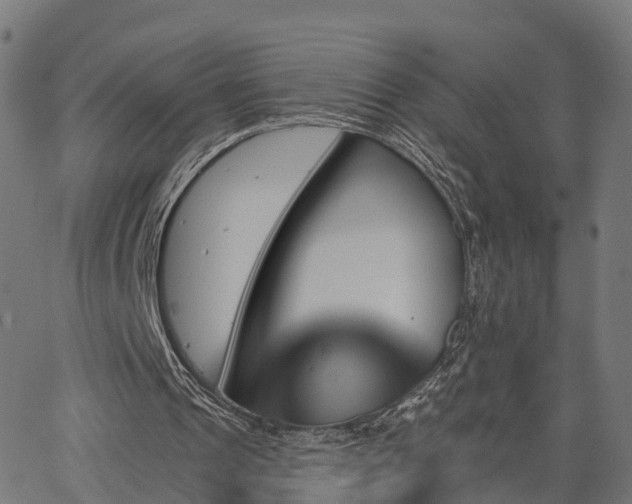 X0000062910241200601181226