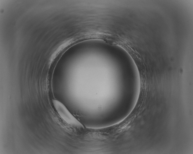 X0000062910244200601181226