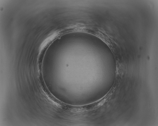 X0000062910245200601181226